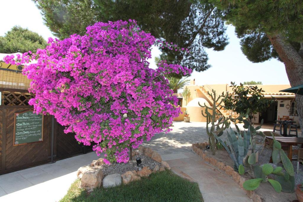 Finca Can Toni Sant Jordi de ses Salines Exterior photo
